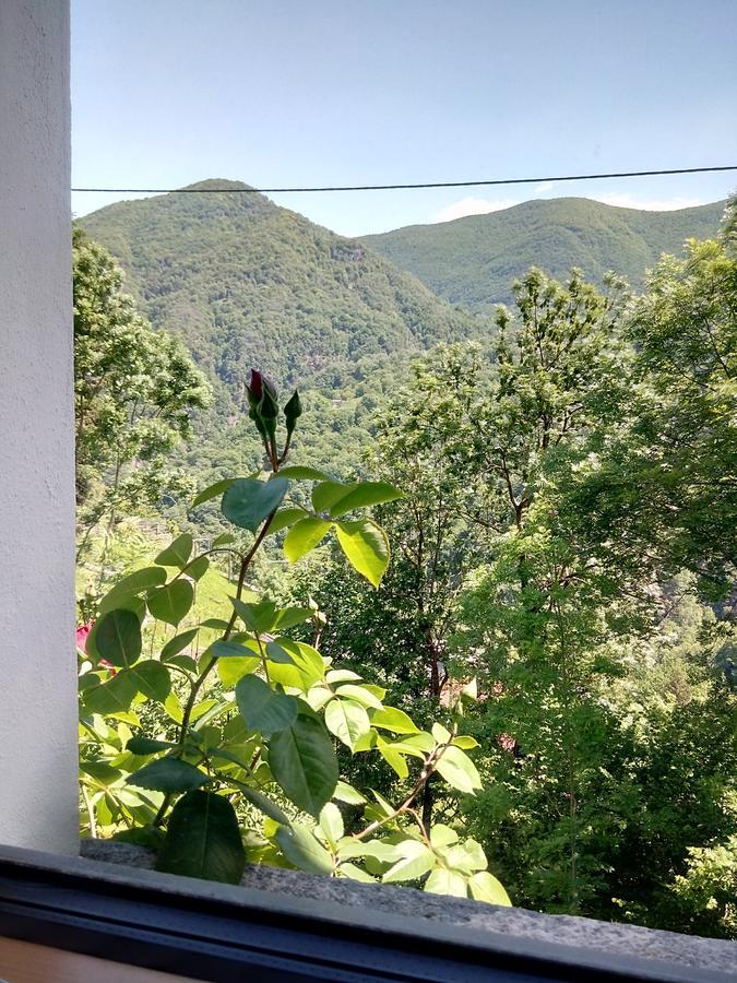Rustico "Casa Di Sasso" Villa Intragna Eksteriør billede